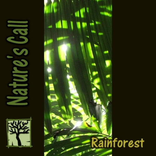 Product picture Rainforest Binaural Beat Sleep Induction